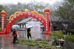 涪陵区第三十二届兰花展览在涪州书院南