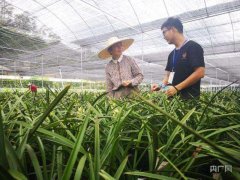 今天谁来做农民？代表委员献计破解传统