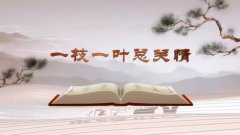 村民称遇到窝心事：拿着宅基证却找不到