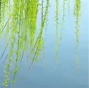 《清明红色大本营》 佟麟阁故居