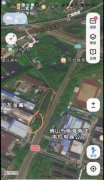公司法人被指滥伐林木超千株，所得款项