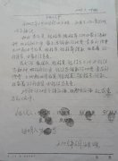 女子诉称在承包地征收补偿费分配纠纷案