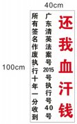 官司赢了却遭遇执行难，十年仍未拿到血