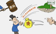 村官被指乱用权利，土地不按实数确权还
