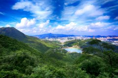 全国首家民营国家森林公园即将被“踢”
