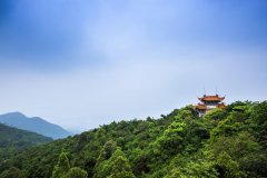 中国有座神奇的山：广东观音山国家森林