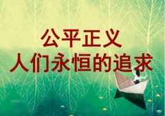 促进社会公平正义，维护百姓合法权益