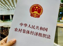 两女子出嫁几十年还回娘家继承宅基地房