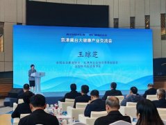 王琼芝：以两岸医疗融合之力 共绘京津冀健康产业新图景