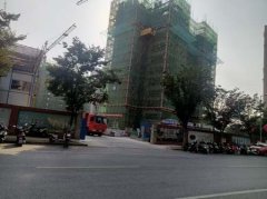 南京129亩违法先占未批安置项目信息公开遭拒引质疑